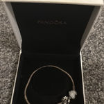 Pandora  Charm Bracelet Photo 0