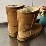 UGG Classic Chestnut Boots Photo 5