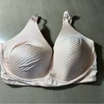 Adrienne Vittadini  LIGHT PINK  FULL‎ COVERAGE NO WIRE SIZE 38DD BRA Photo 5