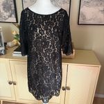 Robert Rodriguez Black Lace Mini Dress Size 10 Photo 1