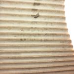 Homers Artisan ISTA Perforated Soft Gray Blue Sneaker Gold Accents Photo 6