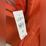 Ann Taylor LOFT Summer Shorts Photo 10