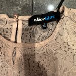 Alice Blue  Lace Cap Sleeve Blouse in Soft Pink Photo 4