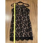 ASTR  lace open back mini cocktail halter mini dress black nude scalloped hem L Photo 2
