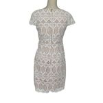 Eliza J  Scalloped Lace Sheath Dress Women’s Size 2 Ivory Special Occasion Photo 6