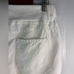 NY & Co M Pull Photo 3