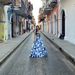 Terani Couture Glamour by Terani size 2 Couture Sleeveless V-Neck Floral Print Ball Gown dress Photo 5