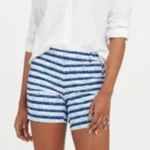 Spanx NWT Sunshine Shorts 6" Blue Painted Stripe Pull On Pockets 50213R Photo 2