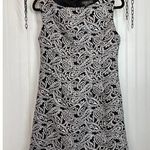Gracia NWOT  Black & White Paisley Sleeveless Mini Shift Dress Size L Photo 0