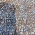 Salty Lemon  Tank Top Photo 2