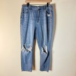 American Eagle  Outfitters Ripped Knee Mom Jean Size 16 Photo 1