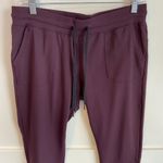 Zyia Active Plum Unwind Joggers Photo 6