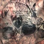 Evolution and creation  Pink Skull leggings Photo 6