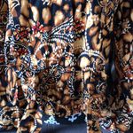 Jones New York  Signature Button Down Shirt Size M Photo 2