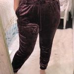 LOGO By Lori Goldstein LOGO size medium burgundy velvet sheen jogger pant Photo 0