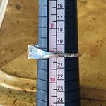 Swavorski Swarovski Crystal Sterling Silver Ring Size 9 Photo 7