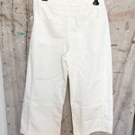 Anthropologie Pilcro the Izzie Relaxed Pull-On Barrel Pants Photo 4