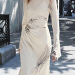ZARA NWT  maxi dress Photo 0