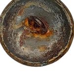 Antique Butterfly Picture Brass Button Small .5" Collectible Brown Photo 3