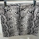 BB Dakota Leather Skirt Photo 0