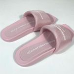 Alexander Wang Logo Pool Slides Light Pink EU 36 NEW Photo 4