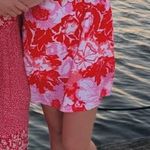 Petal and Pup  dress  Photo 0