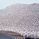 AQUA Navy Beaded Illusion Mesh Mini Cocktail Dress Photo 10