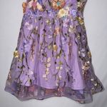 Fairy Coquette Prairie Cottagecore Floral Lace Mini Dress Babydoll Style‎ Size M Photo 5