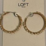 Loft outlet nwt Gold and Cream Textured Hoop Earrings Photo 0