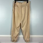 Derek Lam 10 Crosby Drawstring Jogger Pants Sz 10 Neutral Minimalist Lightweight Photo 7