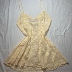 Vintage Arianne Sheer Lace Coquette Slip Dress Size Small Photo 1