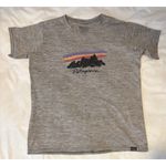 Patagonia EUC Capilene Cool Daily Graphic Tee Shirt, Sz. M Photo 1