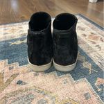 DV by Dolce Vit Dolce Vita Photo 3