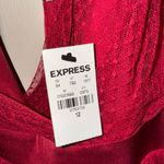 EXPRESS  Scarlet Red Tulle Dress Photo 7