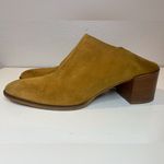 Everlane Women’s The Suede Heel Mule Shoes Size 9 Photo 3