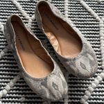 Lululemon Lucky Brand Snake Print Emmie Ballet Flats Size 8.5 Photo 0