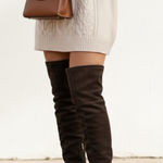 Giuseppe Zanotti Leather Suede Thigh High Stilleto Brown Boots in EU 36 US 6 Photo 0