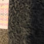 Evereve Century Leggings Photo 1