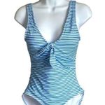 OUTDOOR OASIS BLUE AND WHITE STRIPED ONE PIECE SWIMSUIT Photo 0