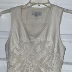 ✨Waverly Grey Cream Sleeveless Lace Overlay Bodycon Dress Size 2 Photo 5