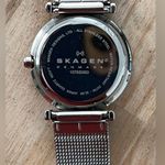 Skagen Steel Denmark Ladies Watch Stainless Mesh Bracelet Black Dial Crystals Photo 6