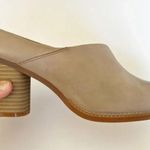 Softwalk  Taupe Leather Block Heel Mule‎ Women’s Size 9W Comfort Smooth Leather Photo 1