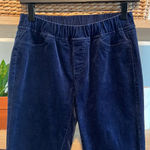 Eileen Fisher Pull On Elastic Waist Cord Skinny Pant, XXS Photo 0