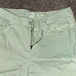 Jasmine  Mint Green Pants Photo 2