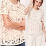 Loft Crochet Lace Paisley Cutout Sheer Overlay Blouse Top Ballet Pink Small Photo 1