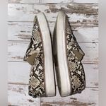 Steve Madden  | Shoes Photo 4