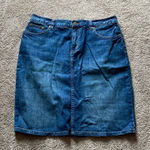 Ralph Lauren Lauren  Blue Casual Straight Mid-Length Denim Skirt SIZE 10P Photo 0