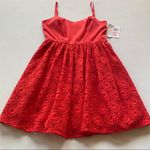 Gianni Bini  Fit & Flare Mini Dress Photo 1