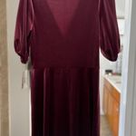 Bebop Wine Colored Velvet Dress Photo 4