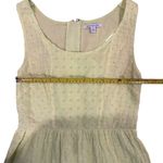 American Eagle  Women's Size 10 Green Eyelet Lace Fit-and-Flare Dress Photo 3